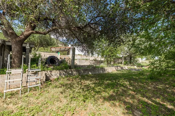 a view of a park with large trees