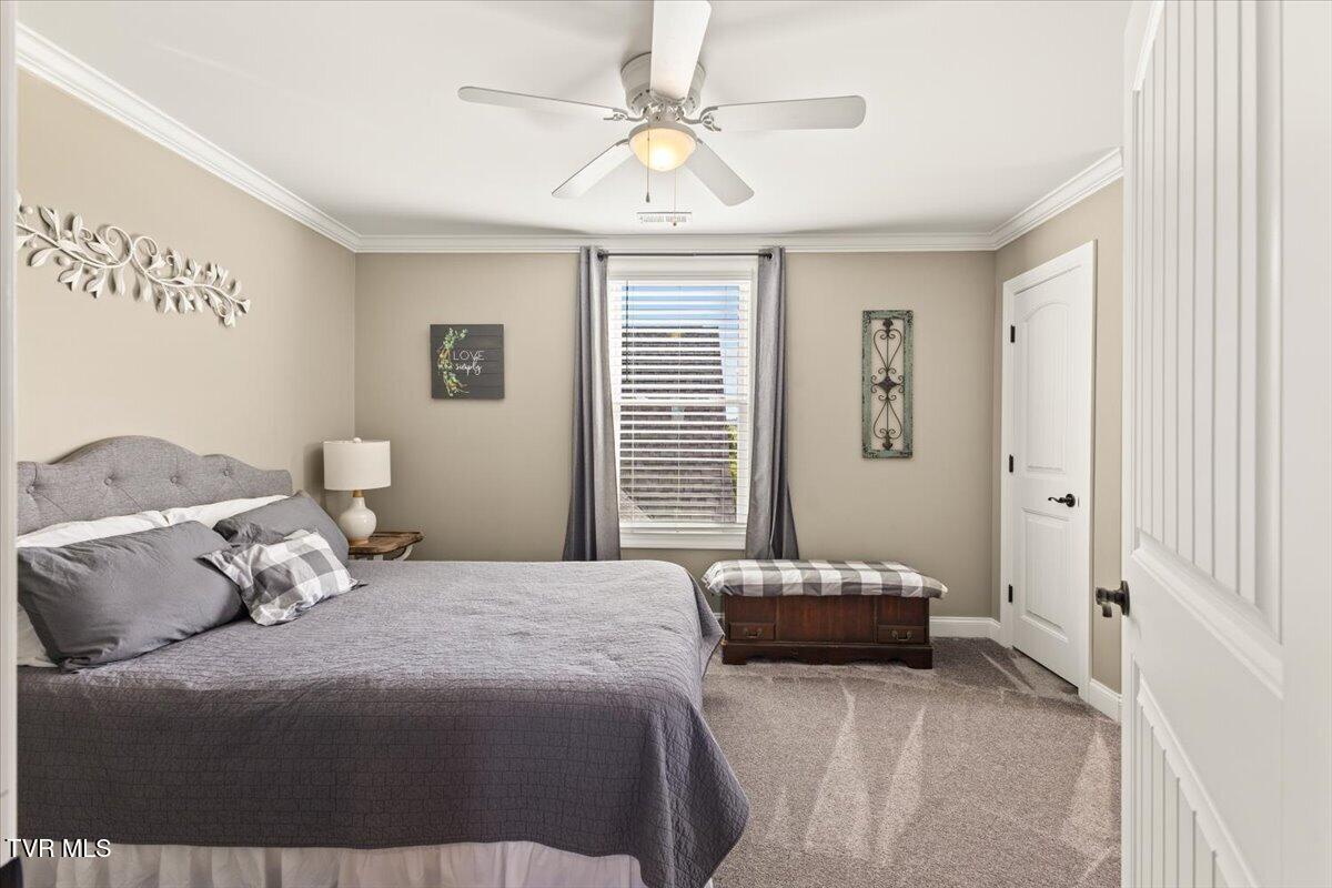 563 Mayberry Road Jonesborough, TN 37659 - Photo 51 of 95 51-128A7479
