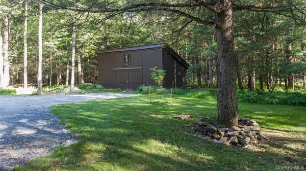 a backyard of a house with plants and large trees