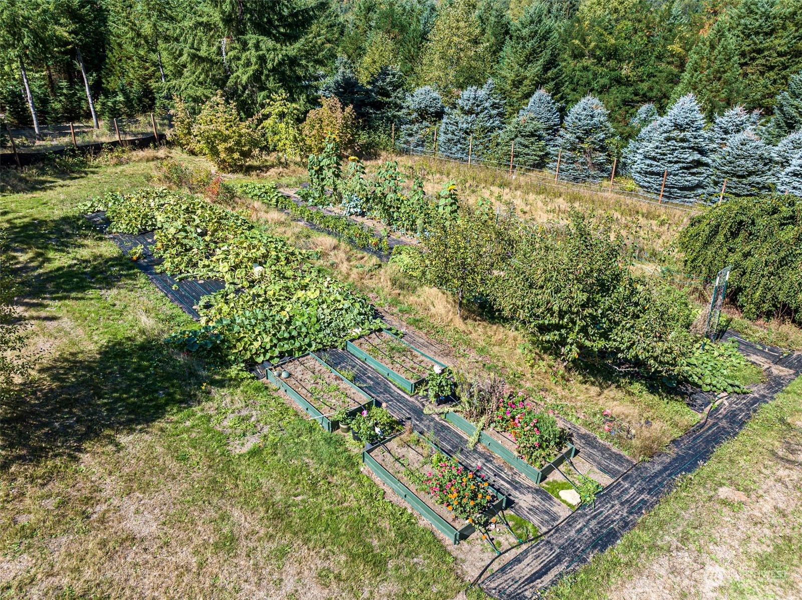 118 Dodge Road Morton, WA 98356 - Photo 33 of 40 Gallery Image 33