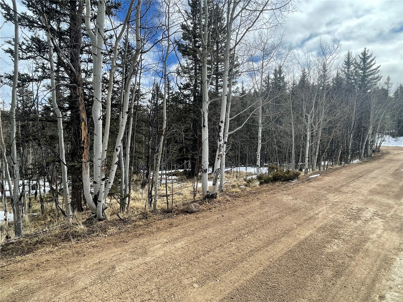 80 Haida Road Como, CO 80456 - Photo 29 of 31