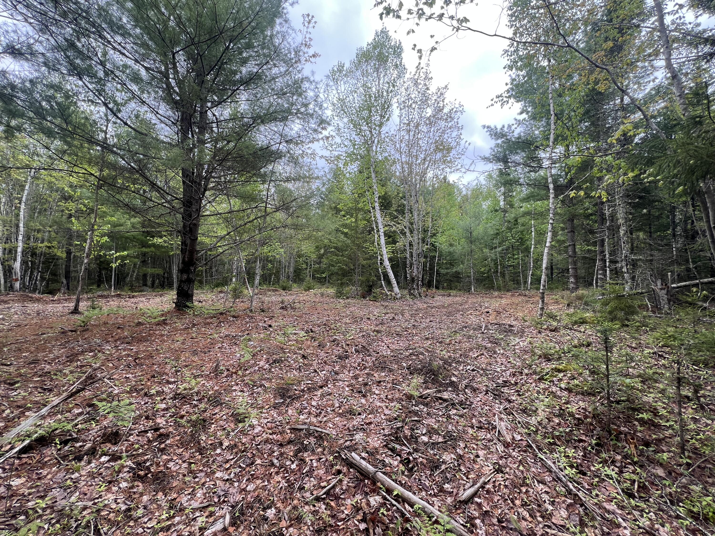 4 Taylor Woods Road Ellsworth, ME 04605 - Photo 1 of 8 IMG_5845