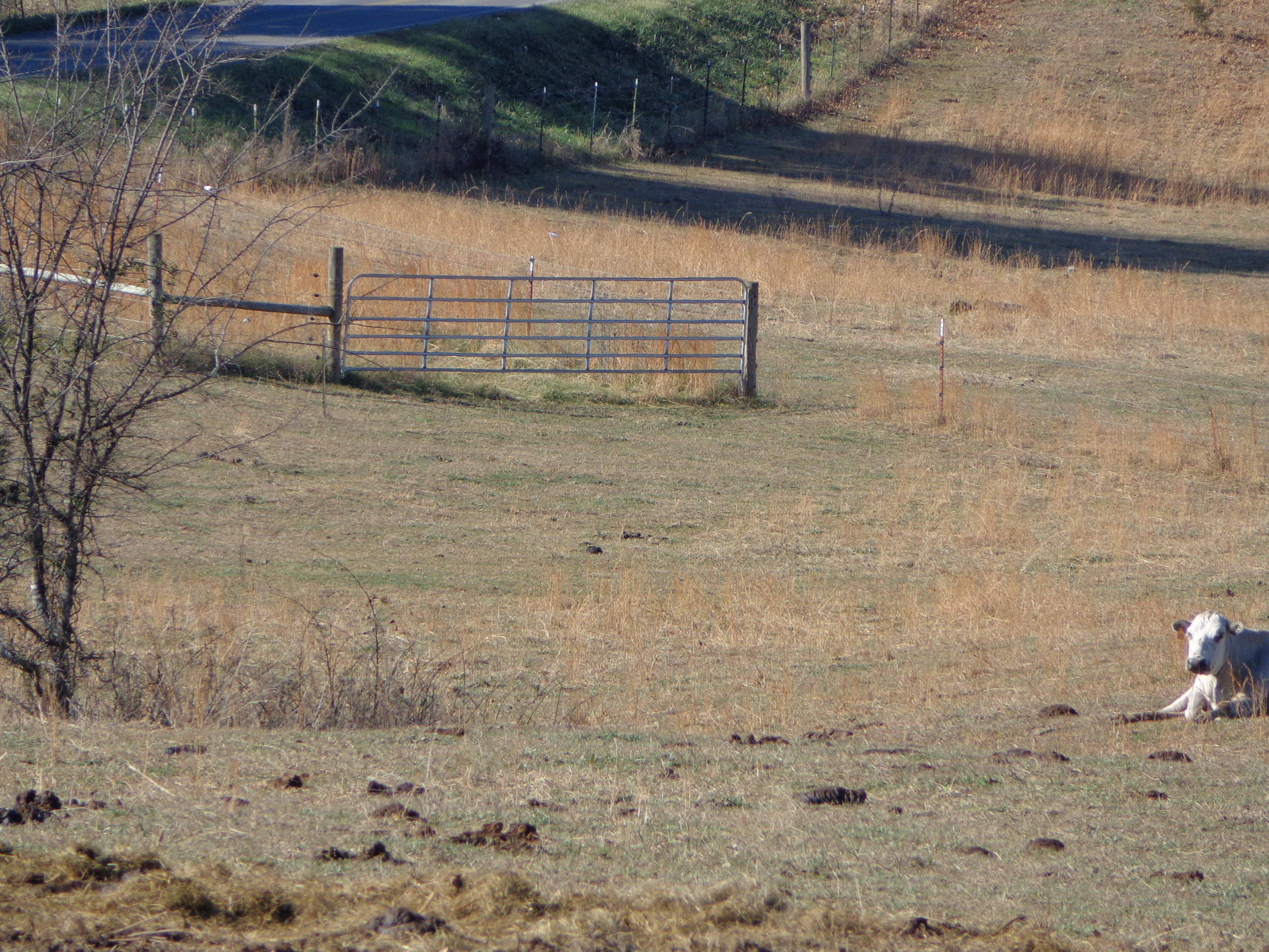 1188 Talbott-Kansas Road Talbott, TN 37877 - Photo 11 of 40 talbott kansas project (16)