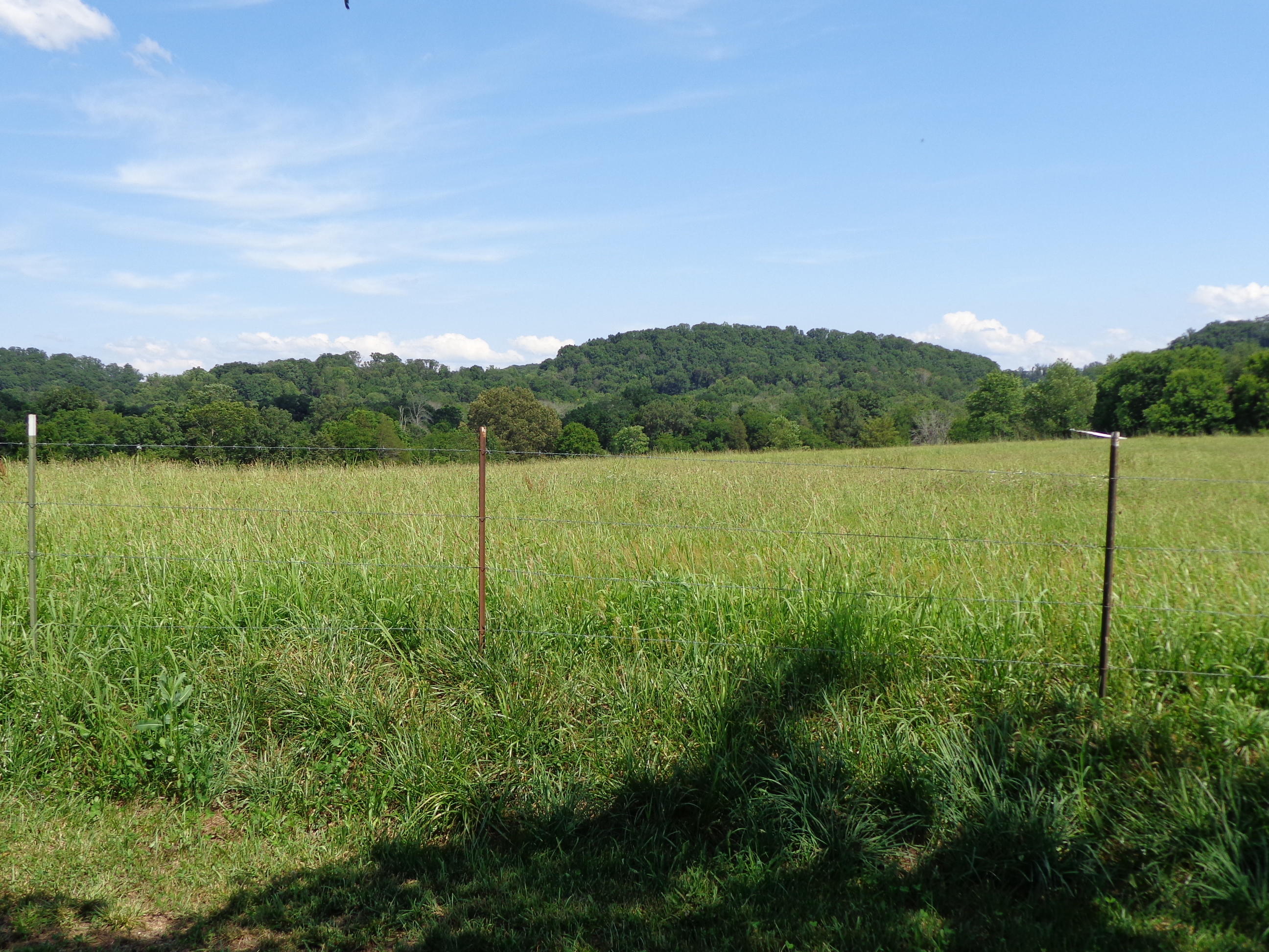 1188 Talbott-Kansas Road Talbott, TN 37877 - Photo 16 of 40 talbott kansas project (47)