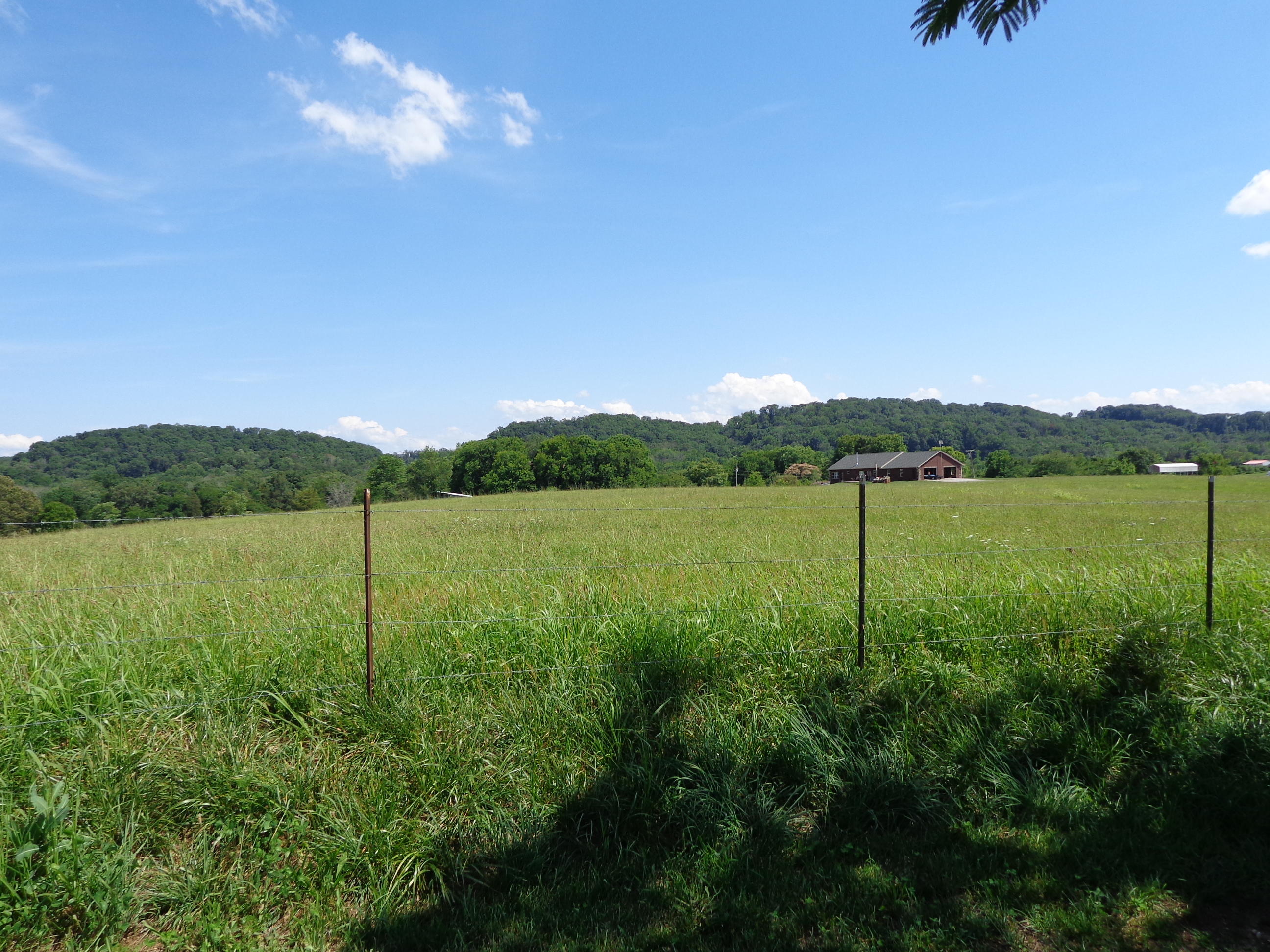 1188 Talbott-Kansas Road Talbott, TN 37877 - Photo 17 of 40 talbott kansas project (48)