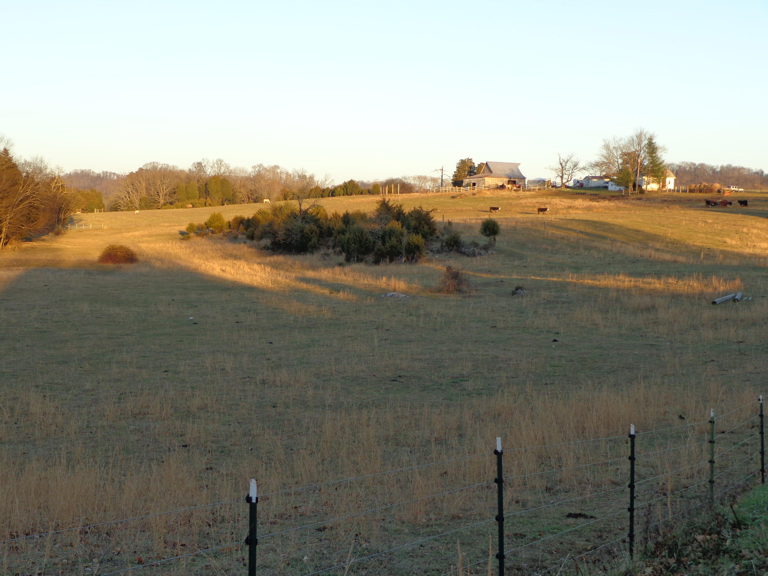 1188 Talbott-Kansas Road Talbott, TN 37877 - Photo 39 of 40 talbott kansas project (37)