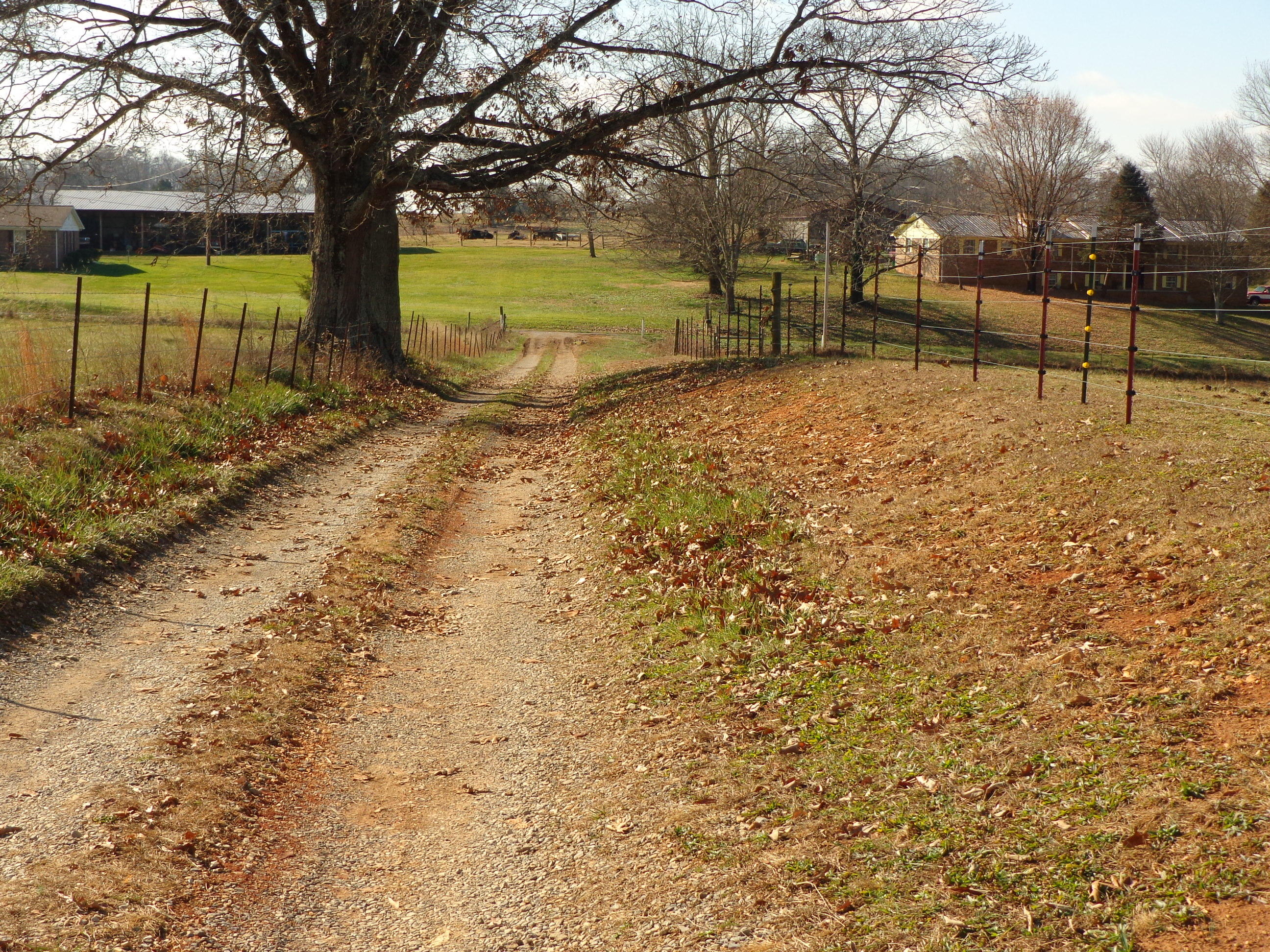 1188 Talbott-Kansas Road Talbott, TN 37877 - Photo 6 of 40 talbott kansas project (11)