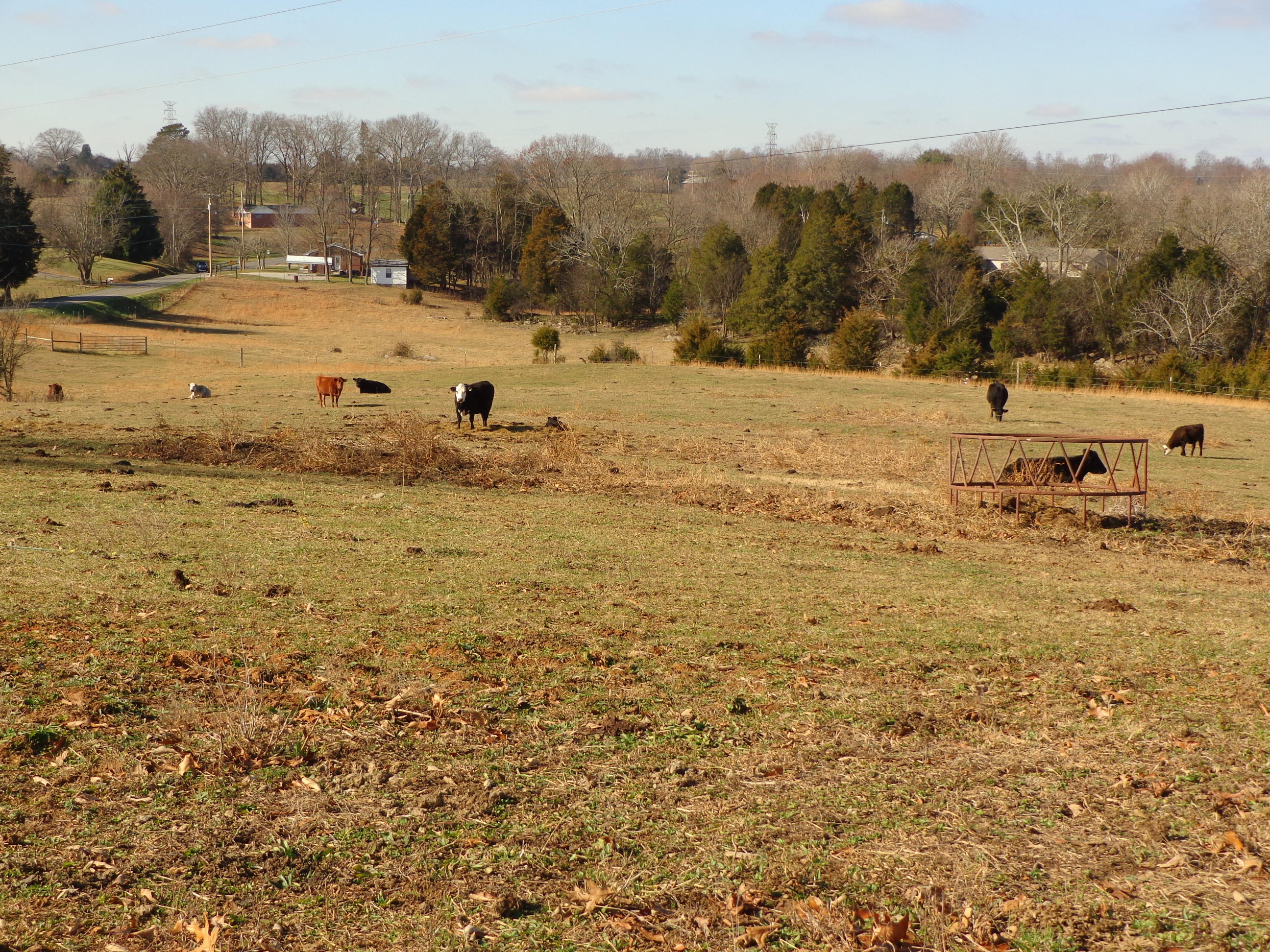 1188 Talbott-Kansas Road Talbott, TN 37877 - Photo 7 of 40 talbott kansas project (12)
