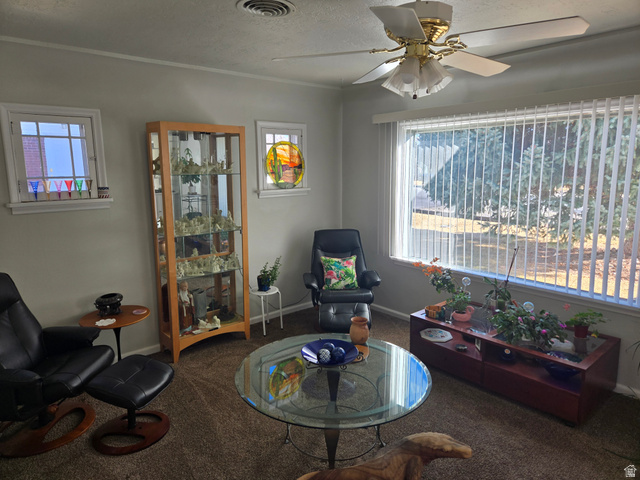 250 West 200 N Street Beaver, UT 84713 - Photo 4 of 63