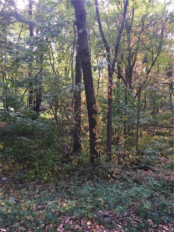0 Paine Road Cumberland, RI 02864 - Photo 1 of 1 Gallery Image 1