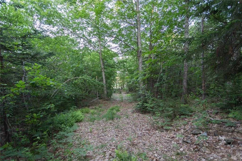 0 Upper Bluff Road Northport, ME 04849 - Photo 14 of 20 Photo