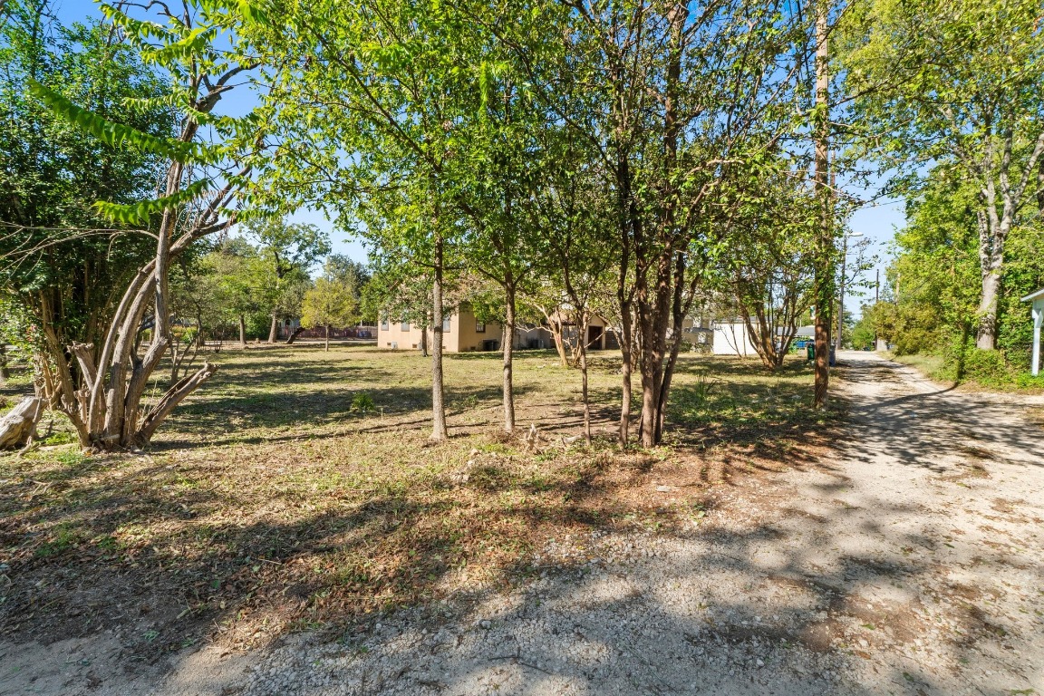 810 East 45th Street Austin, TX 78751 - Photo 22 of 25 a view of outdoor space with trees