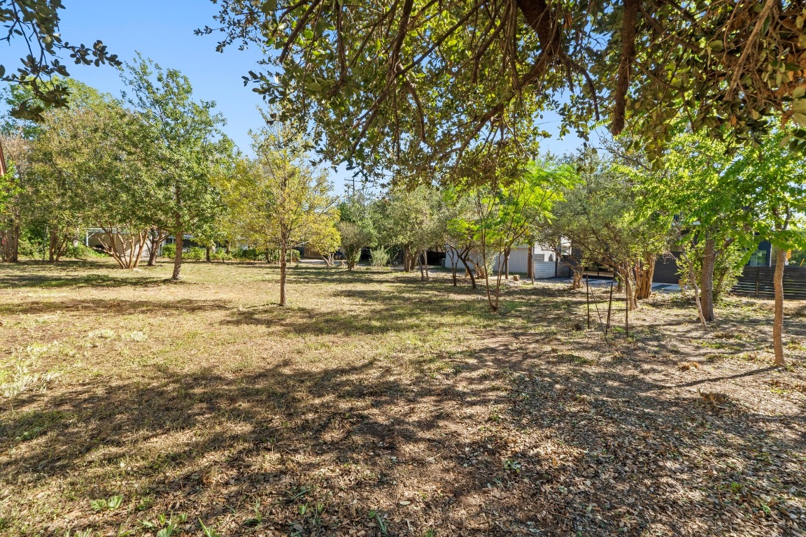 810 East 45th Street Austin, TX 78751 - Photo 3 of 25 a view of yard with trees