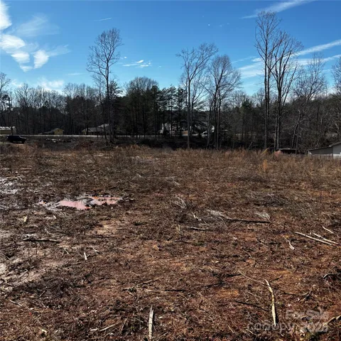 a view of dirt yard with a large tree