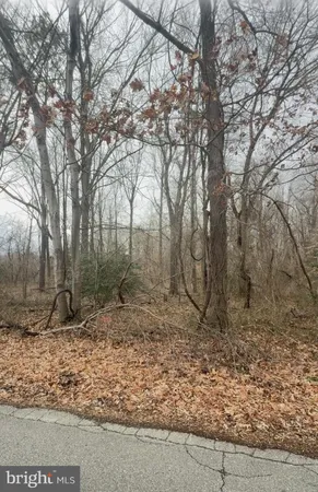 a backyard of a house with lots of trees