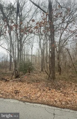 a backyard of a house with lots of trees