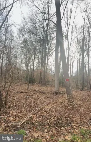a view of a yard with trees