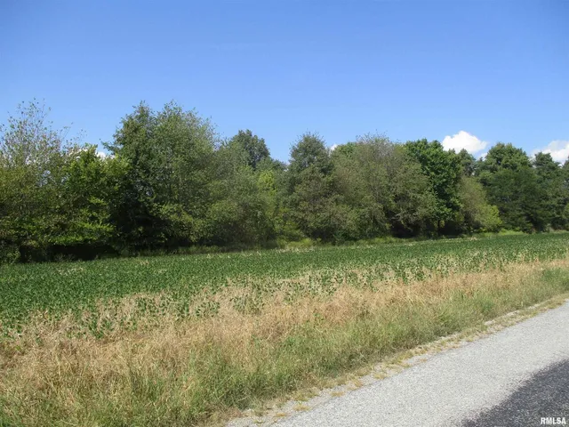 $262,000 | 0 Frisco Road, Ewing, IL 62836