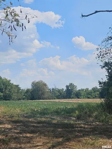 $262,000 | 0 Frisco Road, Ewing, IL 62836