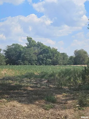 $262,000 | 0 Frisco Road, Ewing, IL 62836