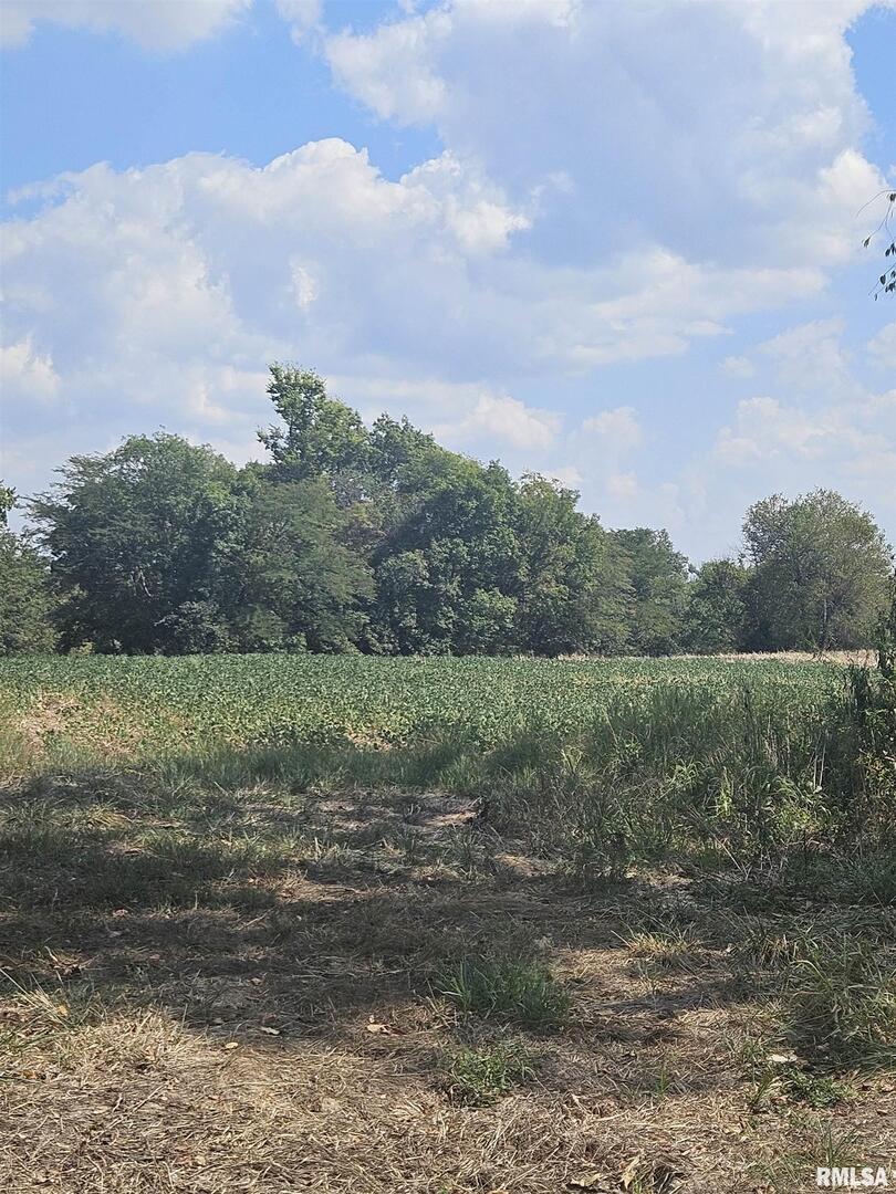 0 Frisco Road Ewing, IL 62836 - Photo 12 of 12