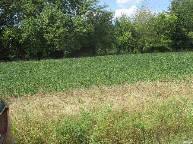 $262,000 | 0 Frisco Road, Ewing, IL 62836