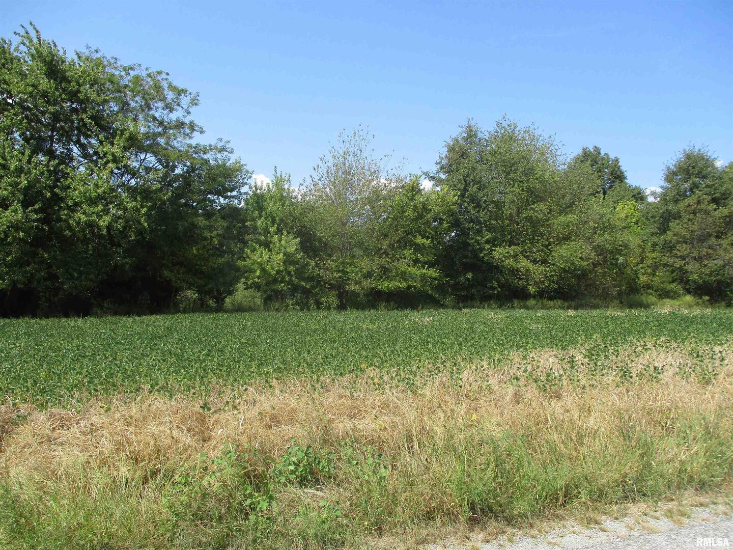 0 Frisco Road Ewing, IL 62836 - Photo 4 of 12