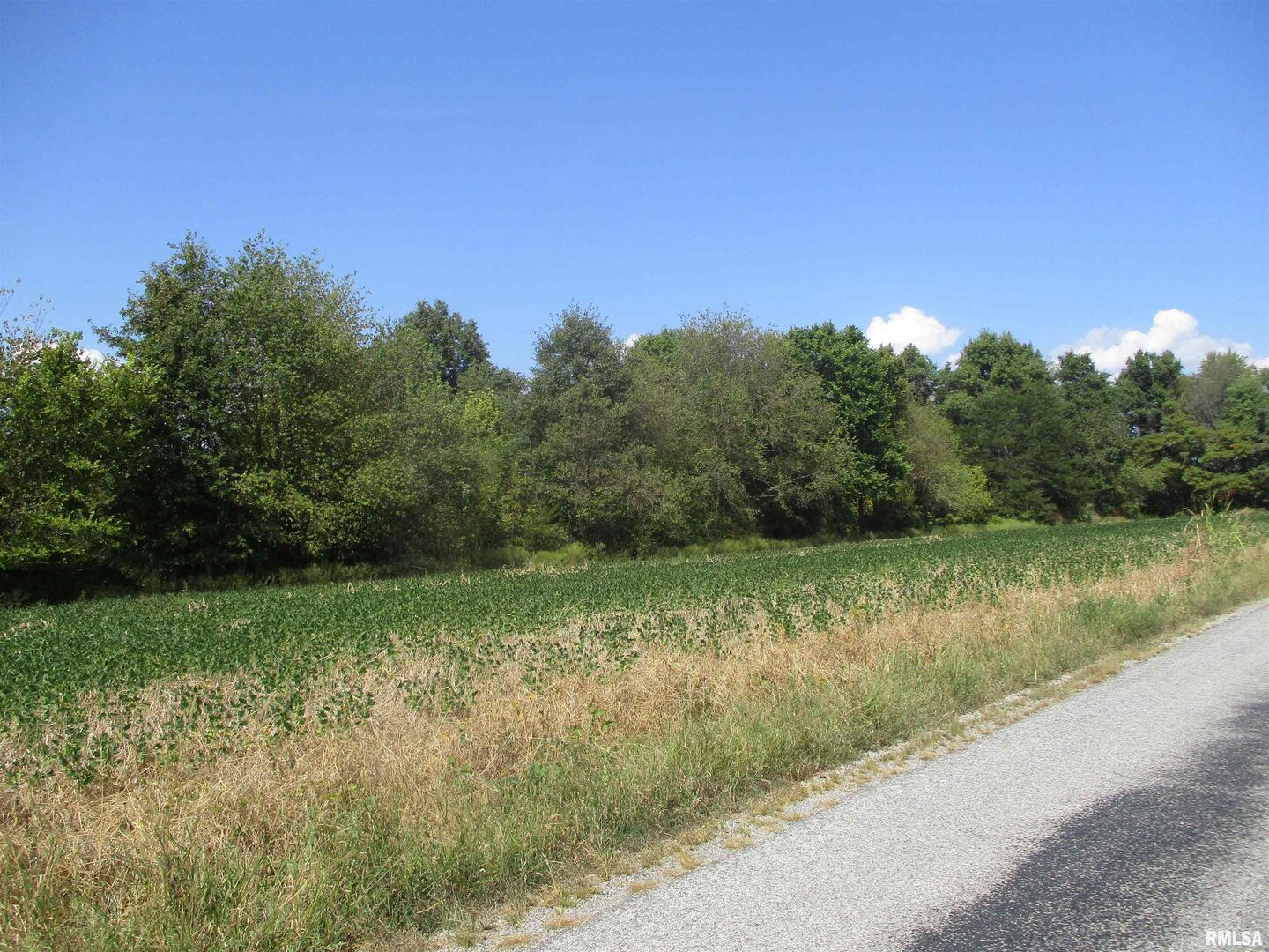 0 Frisco Road Ewing, IL 62836 - Photo 5 of 12