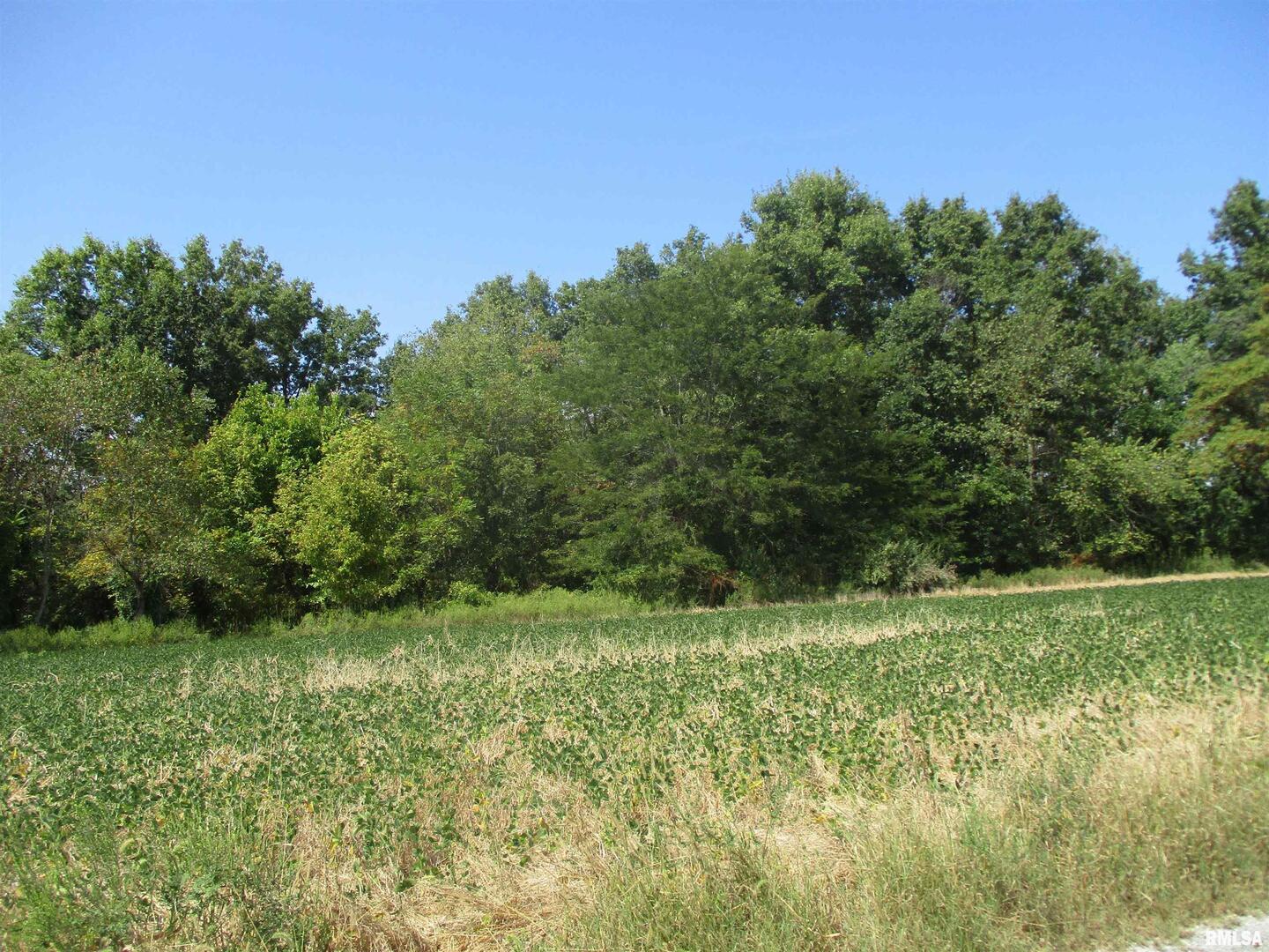 0 Frisco Road Ewing, IL 62836 - Photo 7 of 12