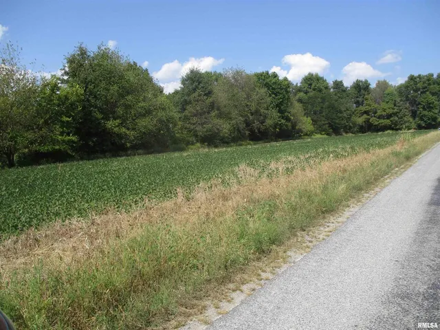 $262,000 | 0 Frisco Road, Ewing, IL 62836