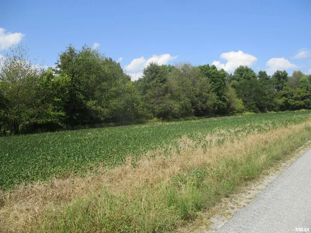 $262,000 | 0 Frisco Road, Ewing, IL 62836