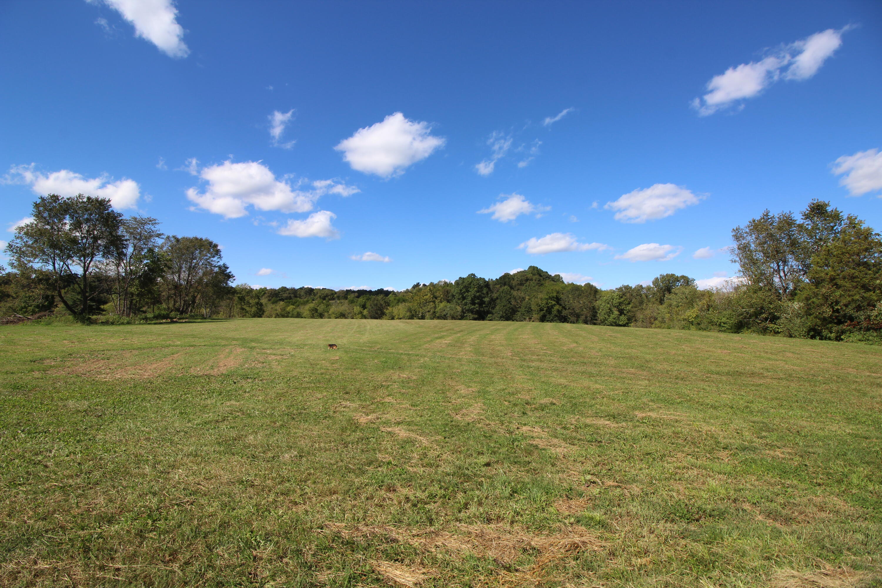 740 Bennett Road Williamstown, KY 41097 - Photo 20 of 30 IMG_0146