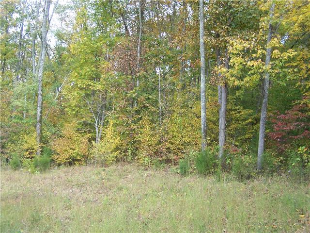663 Shoal Creek Road Prospect, TN 38477 - Photo 10 of 11