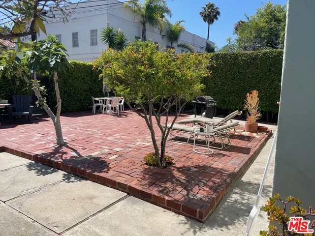 a view of a backyard with plants