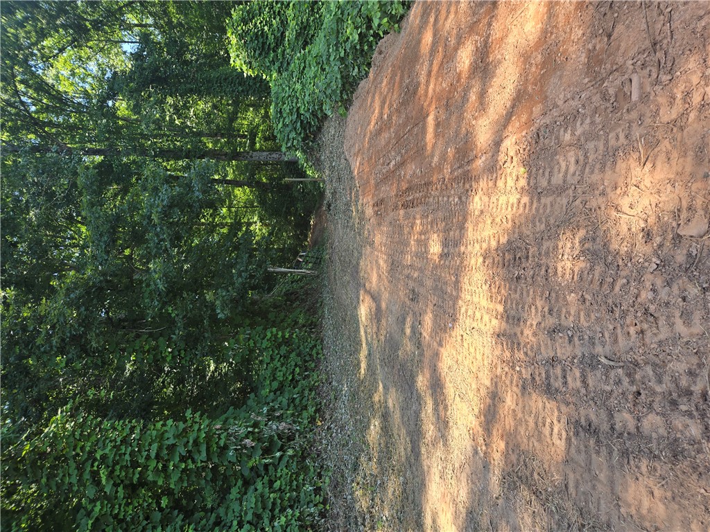 505 Stevenson Road Starr, SC 29684 - Photo 2 of 26