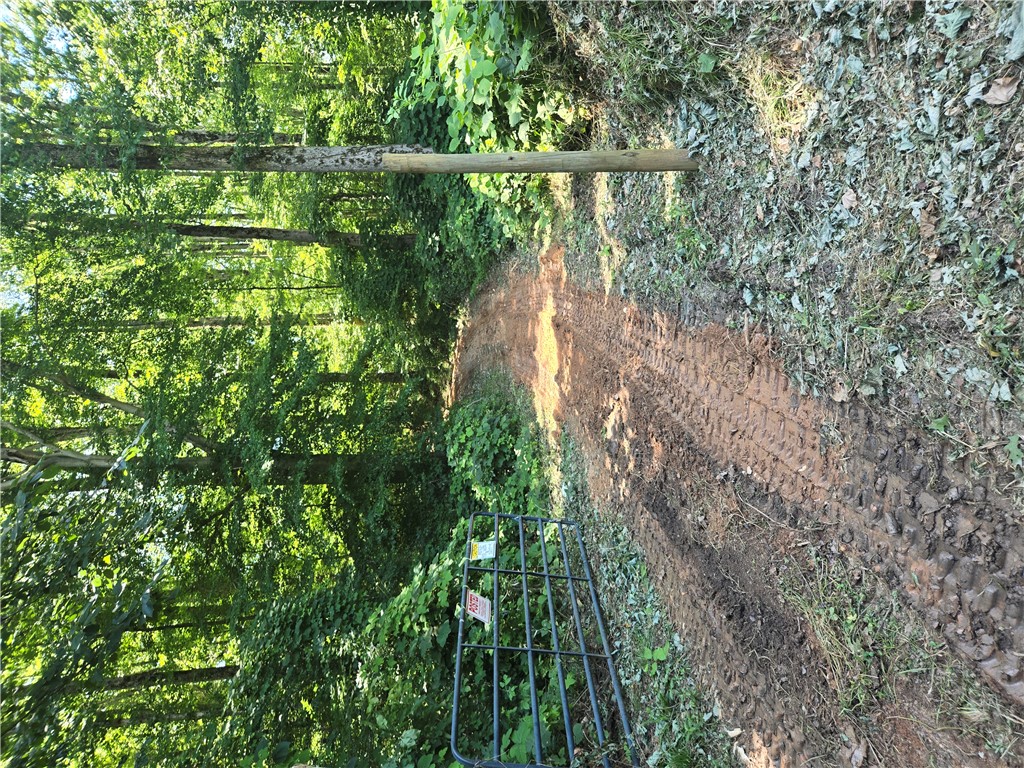 505 Stevenson Road Starr, SC 29684 - Photo 3 of 26