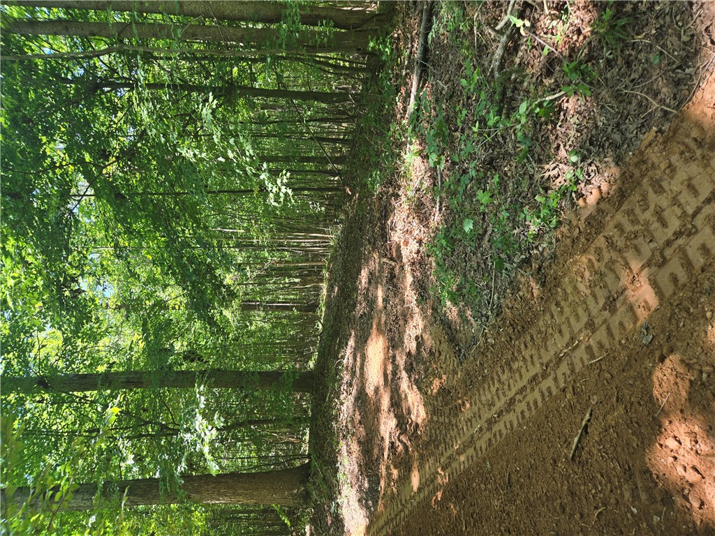 505 Stevenson Road Starr, SC 29684 - Photo 7 of 26