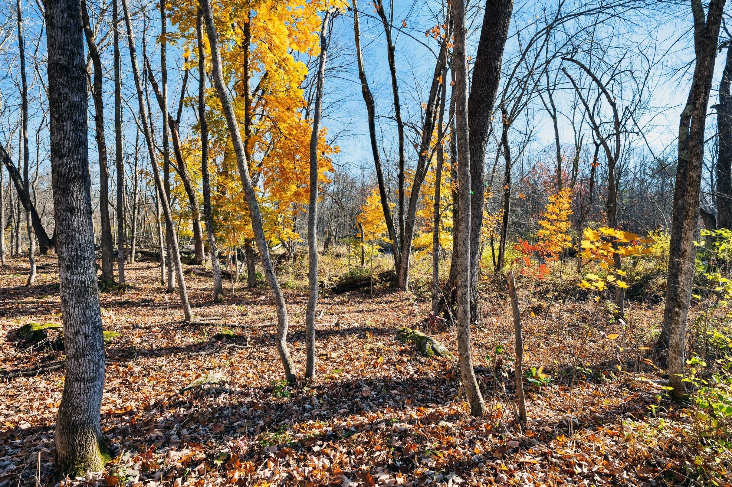 8 River Road Detroit, ME 04929 - Photo 50 of 50 56-8-River-Rd-56