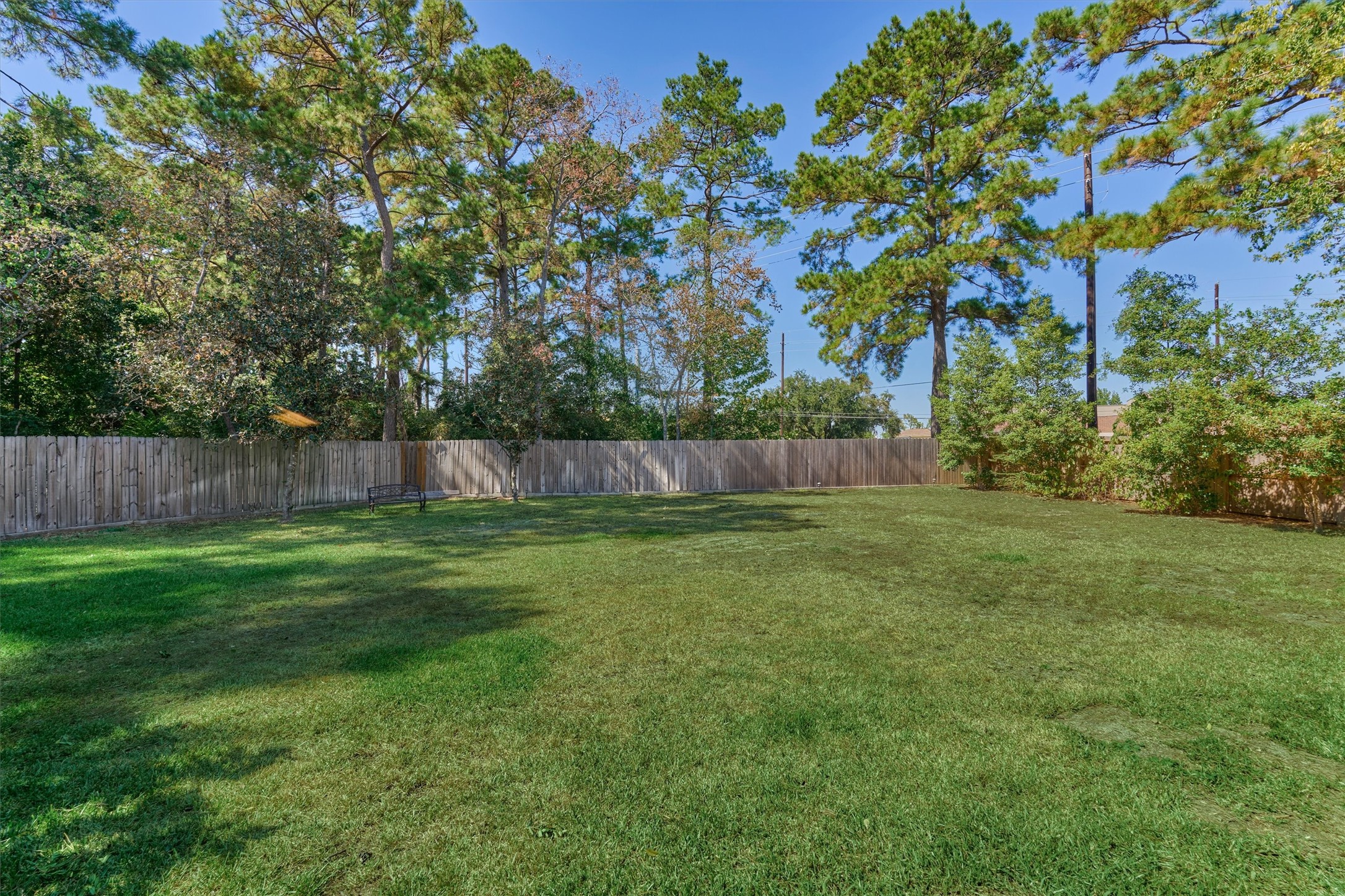 20835 Louetta Oak Drive Spring, TX 77388 - Photo 34 of 37 a view of backyard with tree