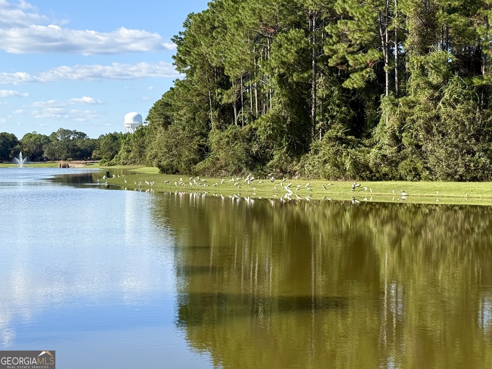 207 Placid Road St. Marys, GA 31558 - Photo 10 of 19