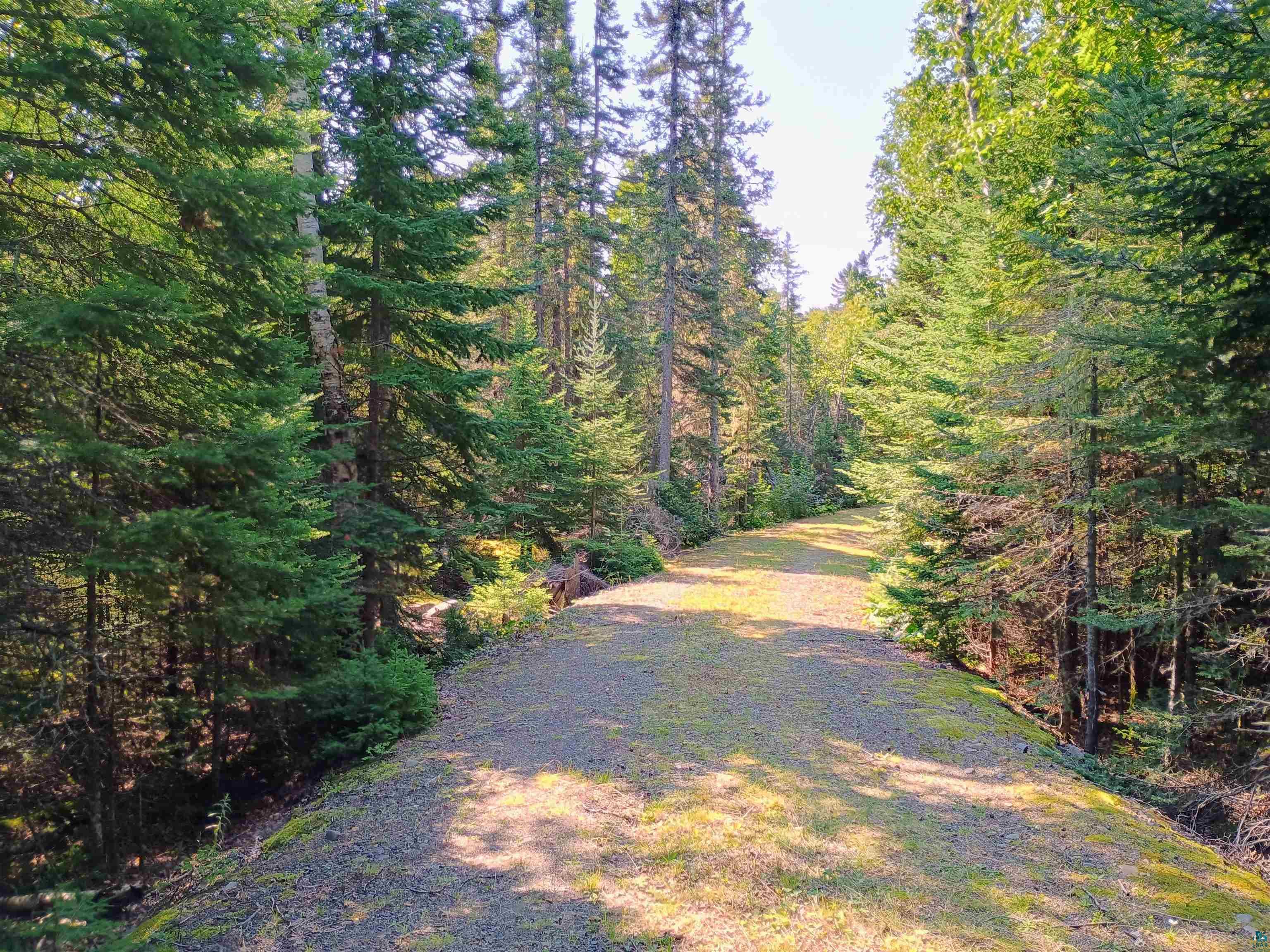 188 Stonegate Road Hovland, MN 55606 - Photo 21 of 33 View of driveway and woods