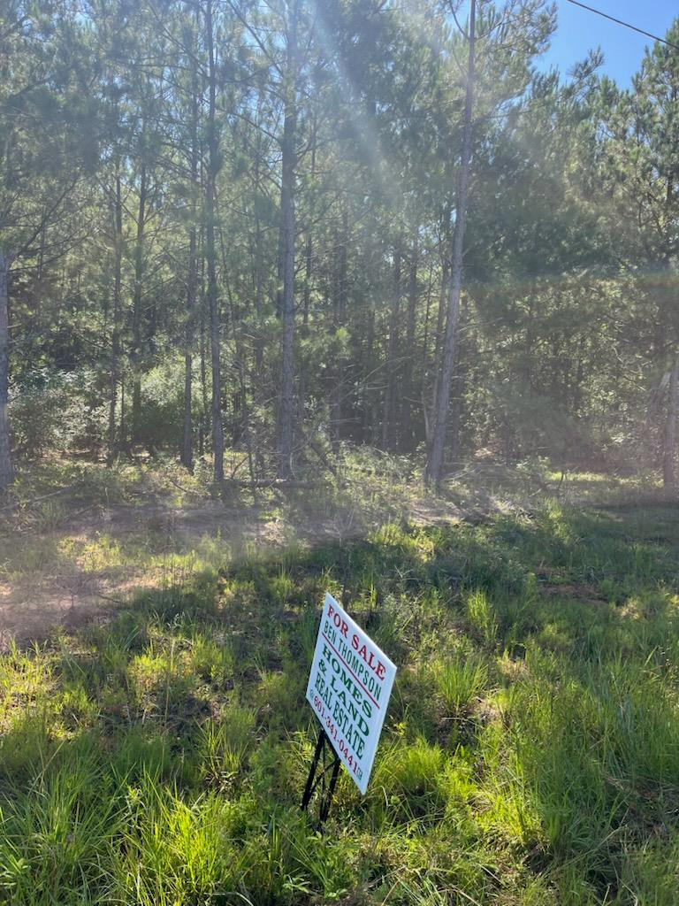 Undisclosed Address McComb, MS 39648 - Photo 2 of 2 Photo 2