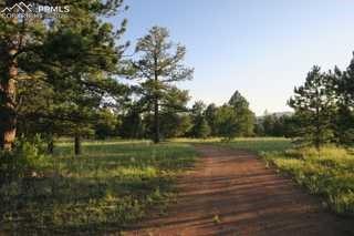 143 Ring Road Guffey, CO 80820 - Photo 24 of 36 View of property