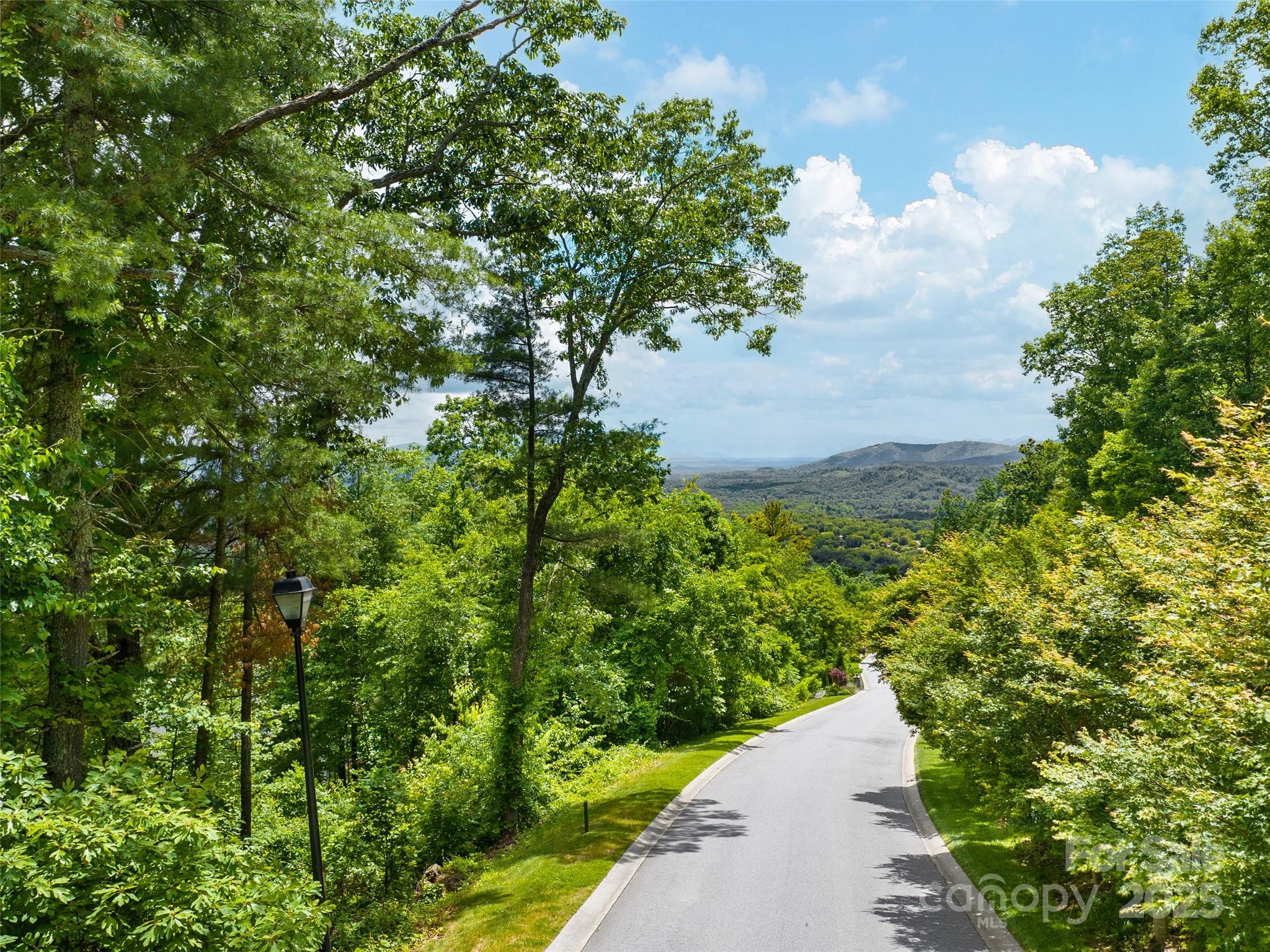 209 Senator Reynolds Road Asheville, NC 28804 - Photo 2 of 9 Gallery Image 2
