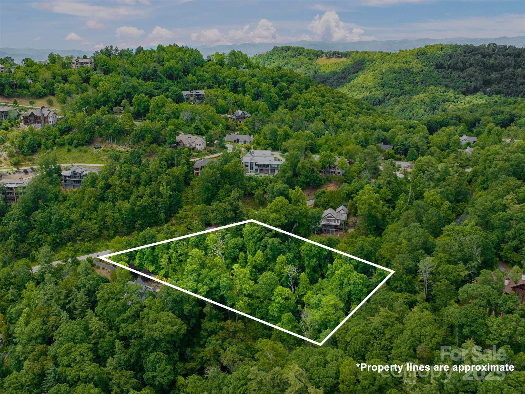 209 Senator Reynolds Road Asheville, NC 28804 - Photo 3 of 9 Gallery Image 3