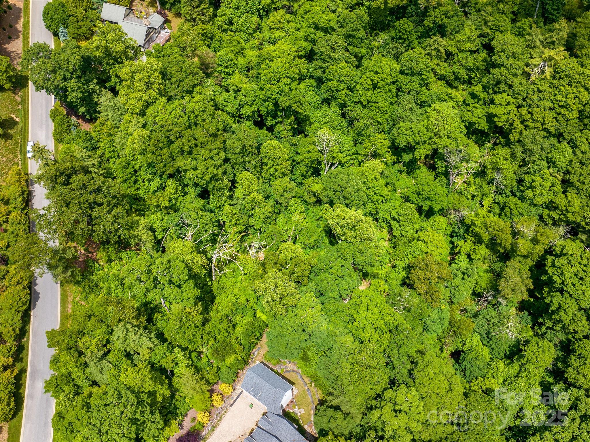 209 Senator Reynolds Road Asheville, NC 28804 - Photo 4 of 9 Gallery Image 4