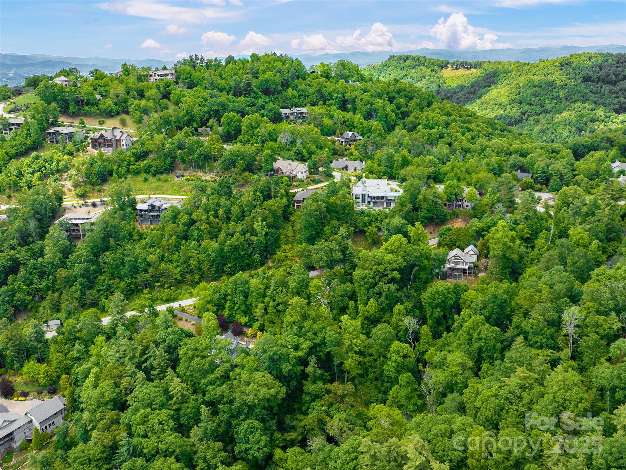 209 Senator Reynolds Road Asheville, NC 28804 - Photo 6 of 9 Gallery Image 6