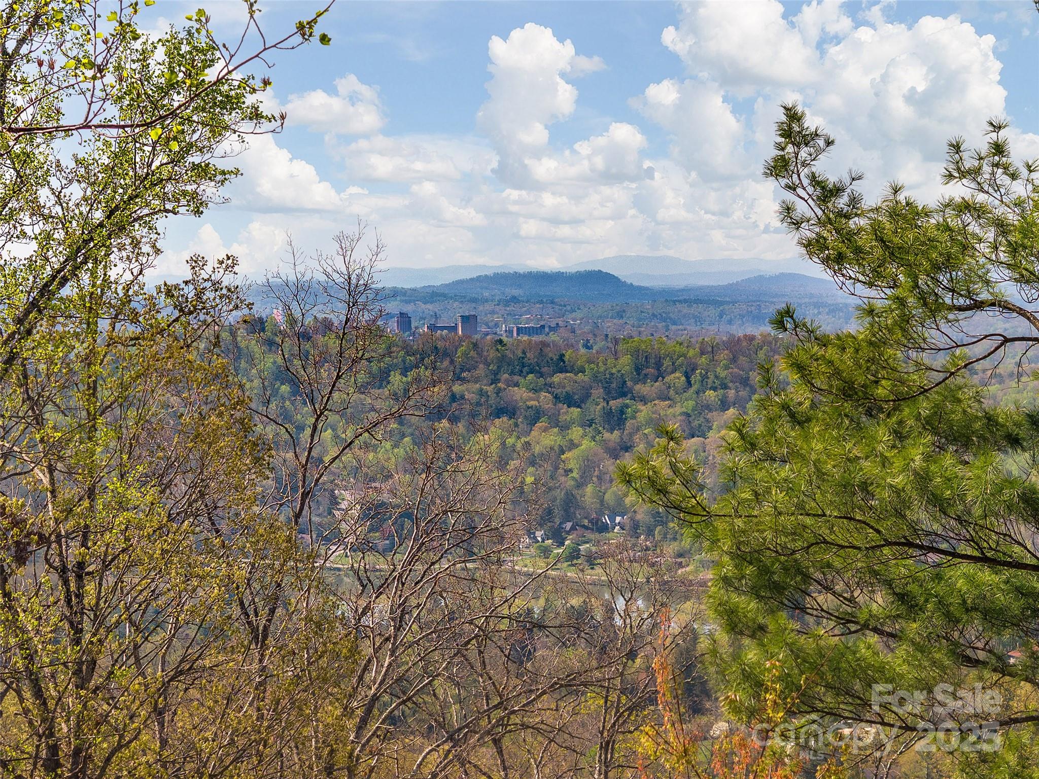 209 Senator Reynolds Road Asheville, NC 28804 - Photo 7 of 9 Gallery Image 7