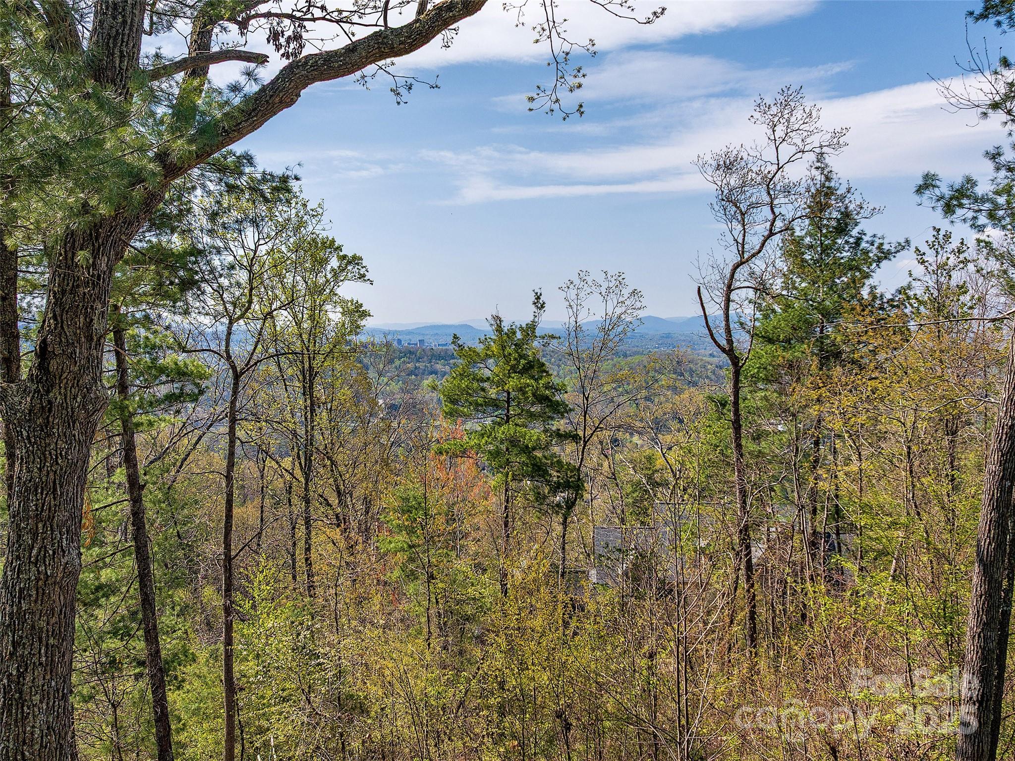 209 Senator Reynolds Road Asheville, NC 28804 - Photo 8 of 9 Gallery Image 8