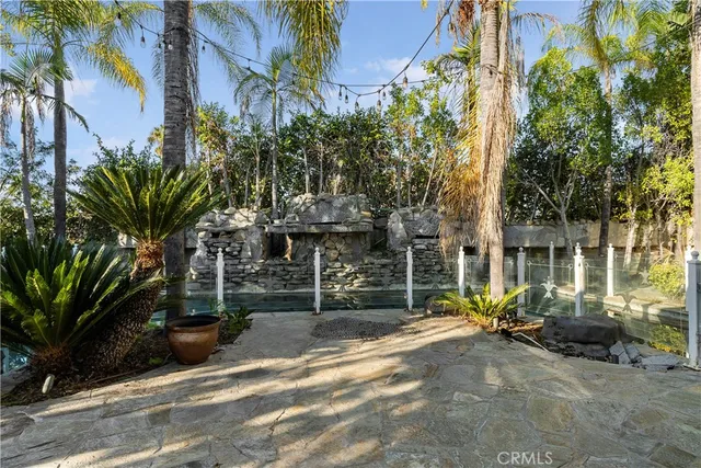 a view of a garden with plants and large trees